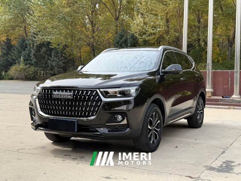2023 Haval H6 National Trend Edition 1.5T Automatic Urban Version - ავტომობილი ჩინეთიდან