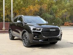 Haval H6 National Trend Edition 1.5T Automatic Urban Version - ფოტო 3