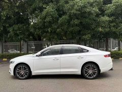 Geely Xingrui 2.0T Diesel Premium Edition - ფოტო 15