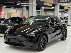 Tesla Model Y Rear-Wheel Drive - ფოტო 1