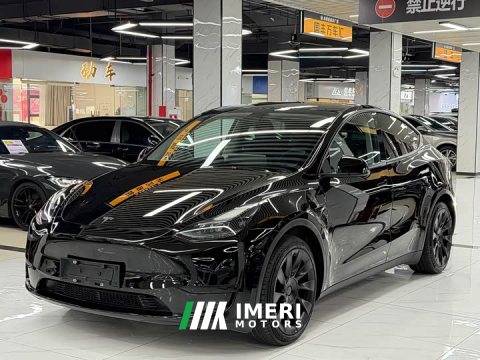 2022 Tesla Model Y Rear-Wheel Drive - ავტომობილი ჩინეთიდან