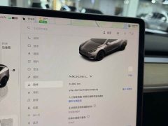 Tesla Model Y Rear-Wheel Drive - ფოტო 15