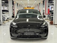 Tesla Model Y Rear-Wheel Drive - ფოტო 2