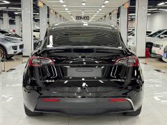 Tesla Model Y Rear-Wheel Drive - ფოტო 5
