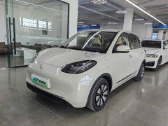 Wuling Binguo 333km Joy Edition - ფოტო 1