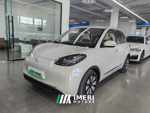 2024 Wuling Binguo 333km Joy Edition - ავტომობილი ჩინეთიდან