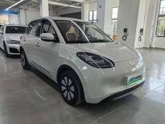 Wuling Binguo 333km Joy Edition - ფოტო 2