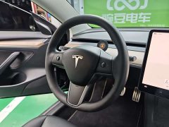Tesla Model 3 Performance All-Wheel Drive - ფოტო 11