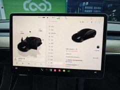 Tesla Model 3 Performance All-Wheel Drive - ფოტო 13