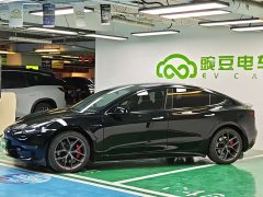 Tesla Model 3 Performance All-Wheel Drive - ფოტო 1