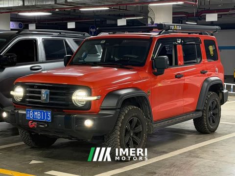 2022 Tank 300 2021 Off-Road Edition 2.0T Conqueror - ავტომობილი ჩინეთიდან