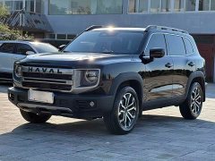 Great Wall Dachshund 2024 1.5T DCT Border Collie Edition - ფოტო 1