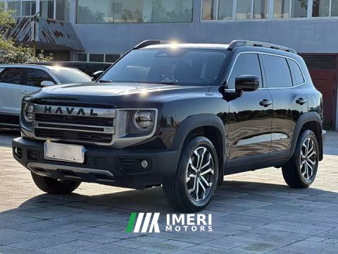 2025 Great Wall Dachshund 2024 1.5T DCT Border Collie Edition - ავტომობილი ჩინეთიდან
