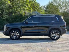 Great Wall Dachshund 2024 1.5T DCT Border Collie Edition - ფოტო 10