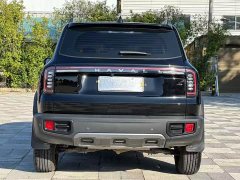 Great Wall Dachshund 2024 1.5T DCT Border Collie Edition - ფოტო 8