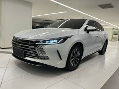 BYD Destroyer 05 Glory Edition DM-i 55KM Luxury - ფოტო 1