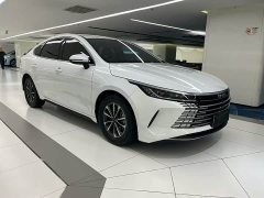 BYD Destroyer 05 Glory Edition DM-i 55KM Luxury - ფოტო 3