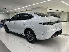BYD Destroyer 05 Glory Edition DM-i 55KM Luxury - ფოტო 4