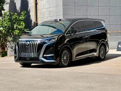 Denza BYD Denza D9 2024 EV 620 Premium Edition - ფოტო 1
