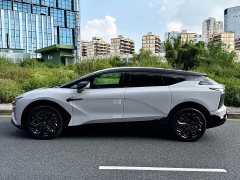 HiPhi X 2021 Flagship 6-Seater - ფოტო 6
