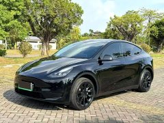 Tesla Model Y 2022 Facelift Rear-Wheel Drive - ფოტო 1