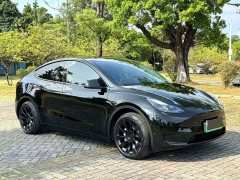 Tesla Model Y 2022 Facelift Rear-Wheel Drive - ფოტო 11