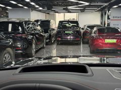 Zeekr Geely Zeekr 8X Yaoying 70kWh - ფოტო 19