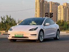 Tesla Model 3 Standard Range RWD Upgrade - ფოტო 1