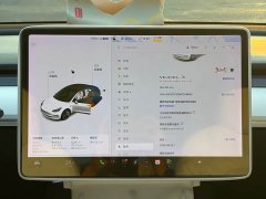 Tesla Model 3 Standard Range RWD Upgrade - ფოტო 9