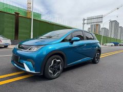 BYD Dolphin 405km Fashion Edition - ფოტო 1