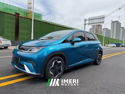 2022 BYD Dolphin 405km Fashion Edition
