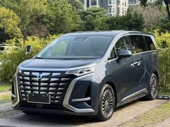 Denza BYD Denza D9 2022 DM-i 1040 Premium - ფოტო 1