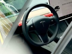 Tesla Model 3 Standard Range RWD Upgrade 3D6 - ფოტო 11