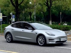 Tesla Model 3 Standard Range RWD Upgrade 3D6 - ფოტო 4