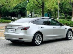 Tesla Model 3 Standard Range RWD Upgrade 3D6 - ფოტო 7