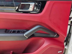 Porsche 2019 Cayenne 3.0T - ფოტო 18