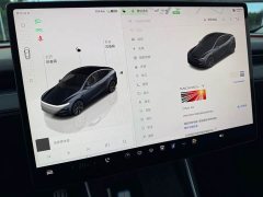 Tesla Model Y Long Range All-Wheel Drive Launch Edition - ფოტო 15