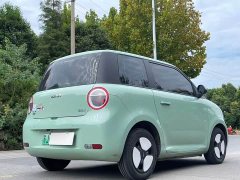 Changan Lumin 205km Xiangqin Edition - ფოტო 6