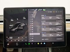 Tesla Model 3 Rear-Wheel Drive - ფოტო 15