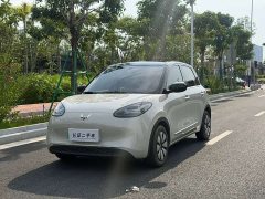Wuling Binguo 333km Lingxi Connected Edition - ფოტო 1