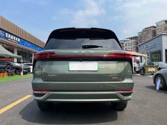 Great Wall WEY Blue Mountain Four-Wheel Drive Ultra - ფოტო 5
