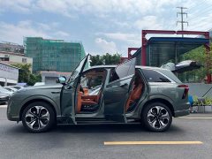 Great Wall WEY Blue Mountain Four-Wheel Drive Ultra - ფოტო 9