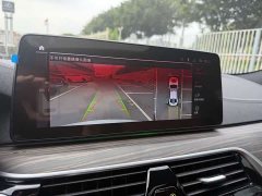 BMW 5 Series Facelift 530Li Luxury M Sport Package - ფოტო 13