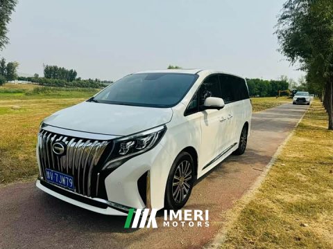 2021 GAC Aion M8 Master Series 390T Premium Edition - ავტომობილი ჩინეთიდან