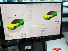 Tesla Model 3 Rear-Wheel Drive - ფოტო 14