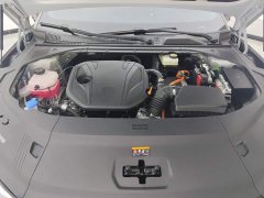 Geely Galaxy Xingyao 8 130km EM-i Flagship - ფოტო 10