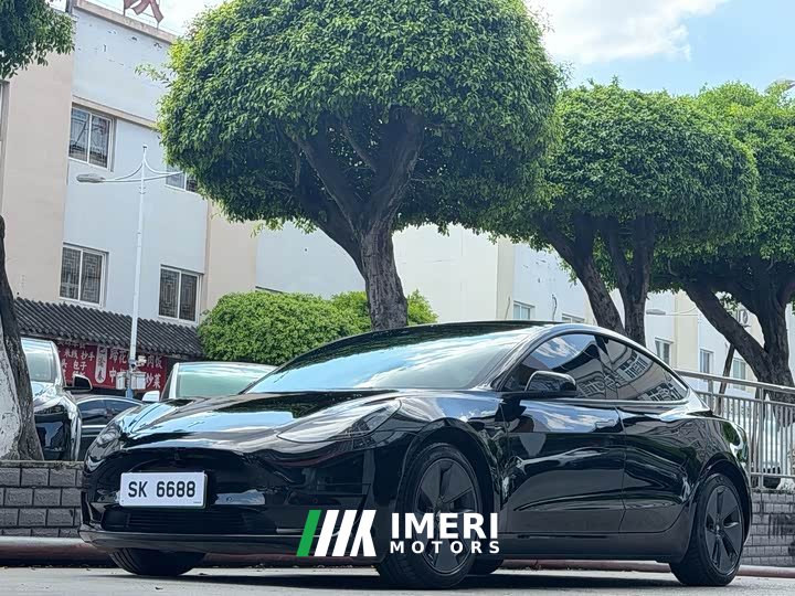 Tesla Model 3 2022 Rear-Wheel Drive - ავტომობილი ჩინეთიდან