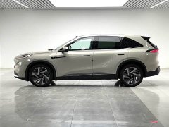 Buick Zhijing E7 1600 Ultra Full-Featured Edition - ფოტო 7