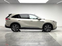 Buick Zhijing E7 1600 Ultra Full-Featured Edition - ფოტო 8
