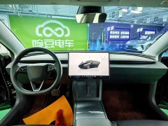 Tesla Model 3 Rear-Wheel Drive - ფოტო 12